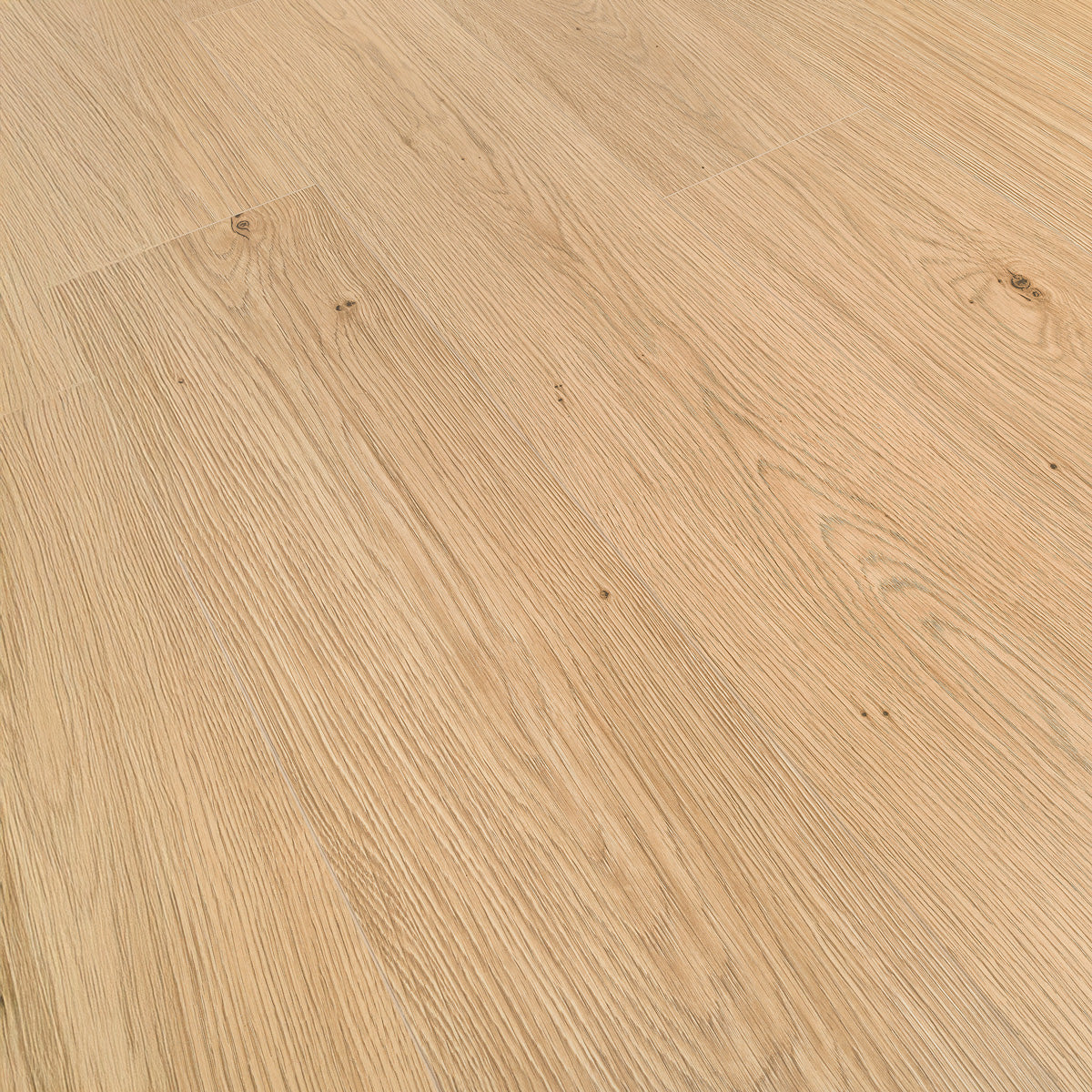 Laminatgolv Oak Camel 8 mm