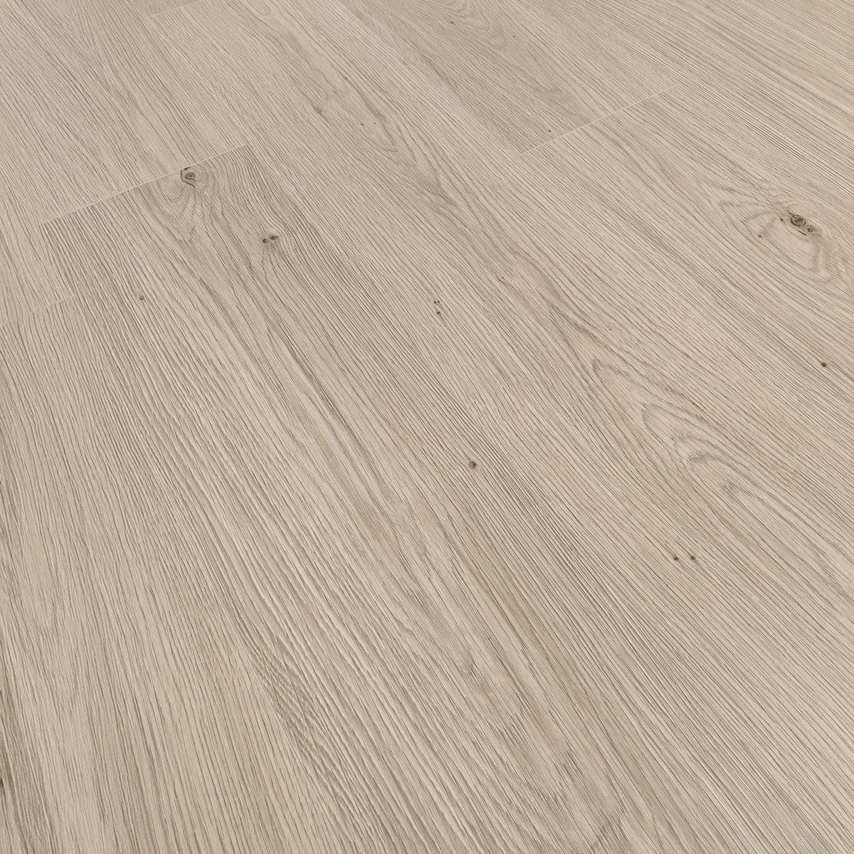 Laminatgolv Oak Camel 8 mm