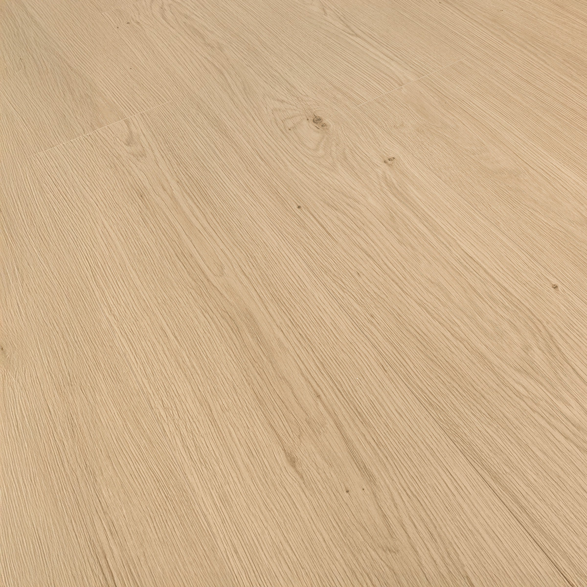 Laminatgolv Oak Dessert 8 mm