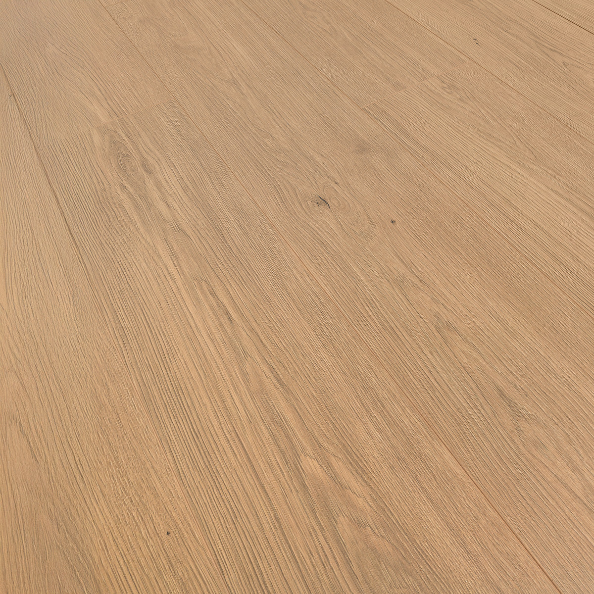 Laminatgolv Oak Toffee 8 mm