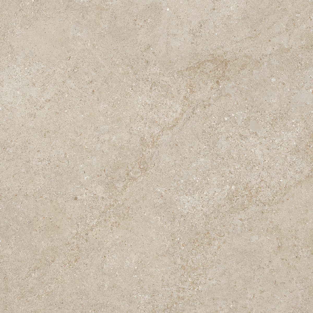 Klinker Arenite Kalksten Natural Matt 100x100