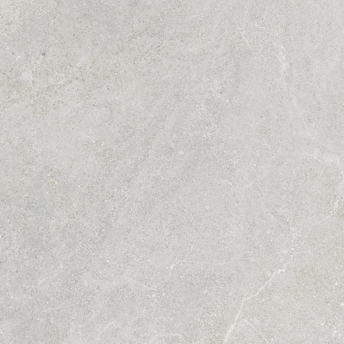 Klinker Arenite Kalksten Pearl Matt 60x60