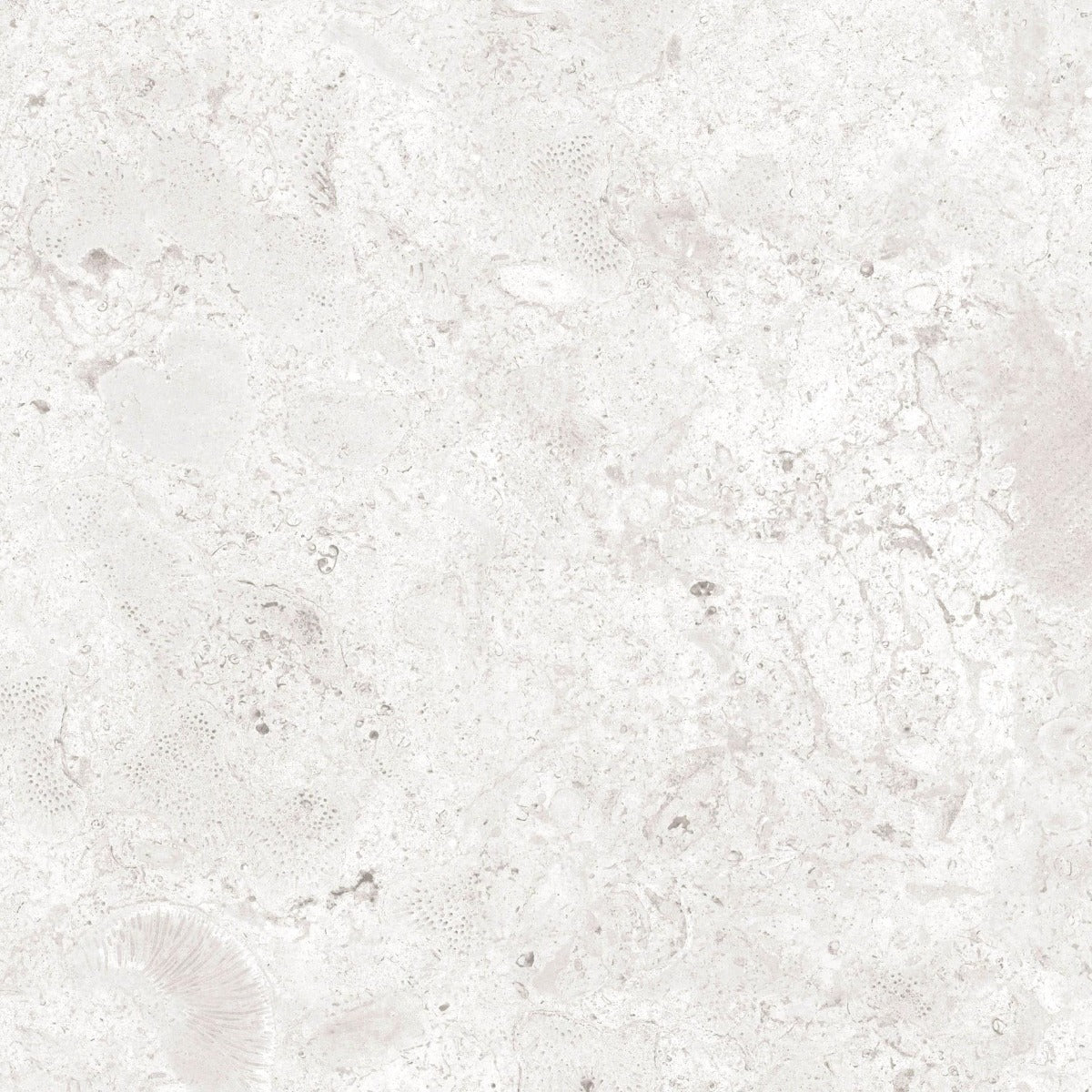 Klinker Coralina Perla Matt 60x60