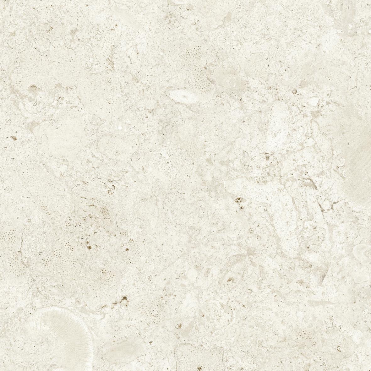 Gulvflis Coralina Bone Matt 60x60