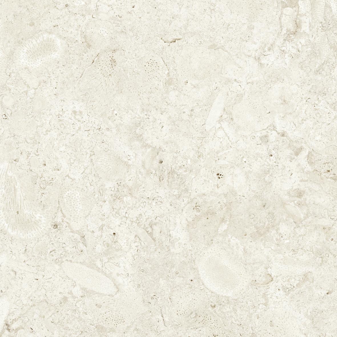 Gulvflis Coralina Bone Matt 60x60