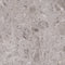 Swatch för Klinker Artic Gris Marmor Matt 60x60
