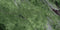 Swatch för Klinker Amazona Jade Marmor Blank 60x120