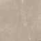 Swatch för Klinker Empyrio Earth 60x60