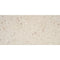 Swatch för Klinker Oikos Terrazzo Beige Matt 60x120
