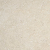 Gulvflis Premiere Natural Matt 60x60