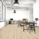Provbit Laminatgolv Oak Beige 8 mm, 1-stav