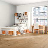 Laminatgulv Oak Zermatt 10 mm, 1-stav