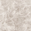 Klinker Emperador Light Grey Marmor Blank 60x60 swatch