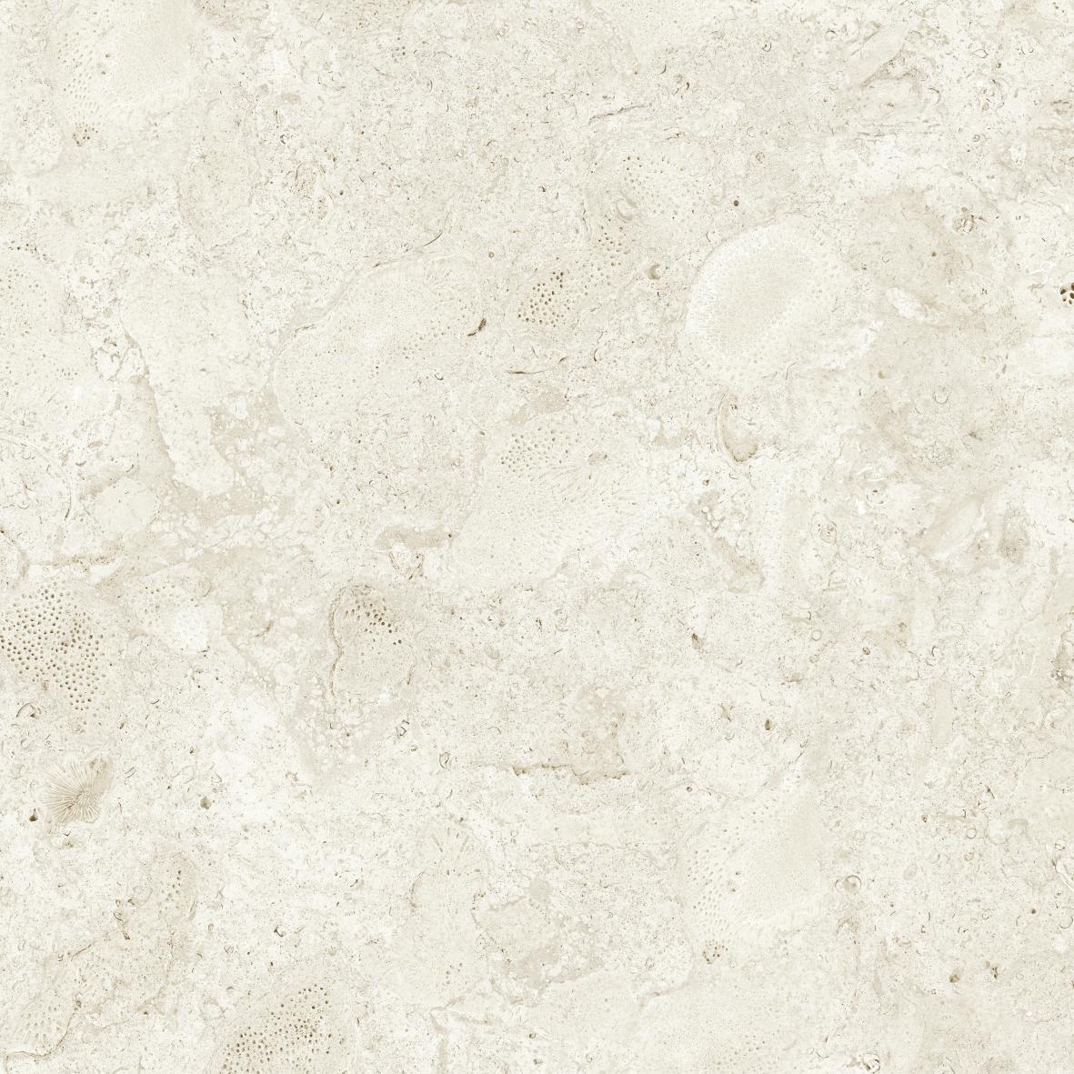 Gulvflis Coralina Bone Matt 60x60