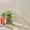 Miljöbild för Klinker Flax Cream Matt 60x60