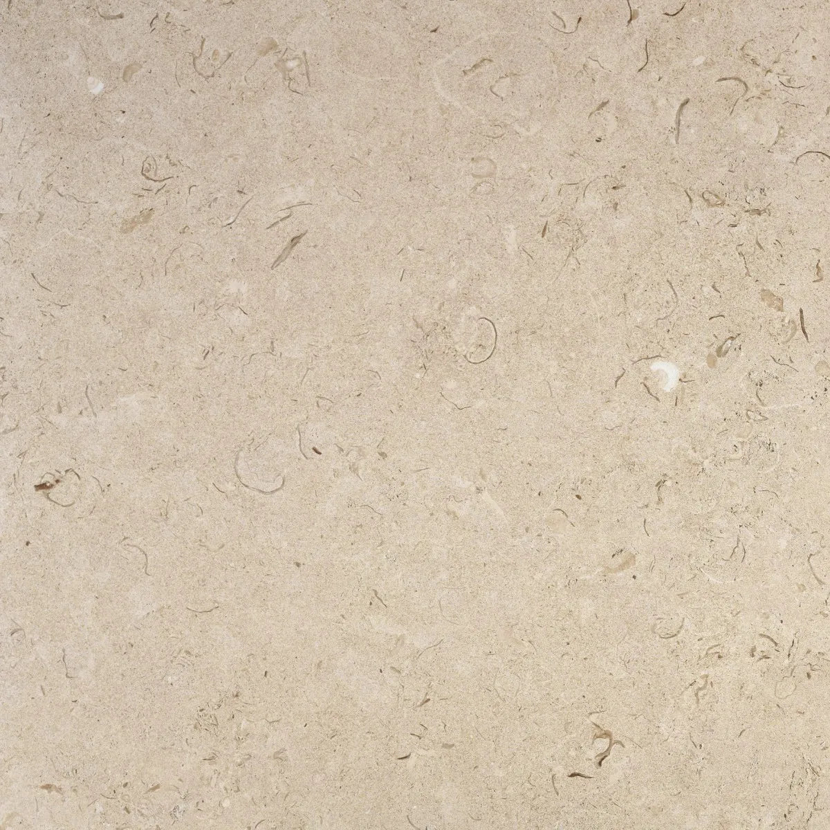 Klinker Kalksten Norr Beige Matt 60x60