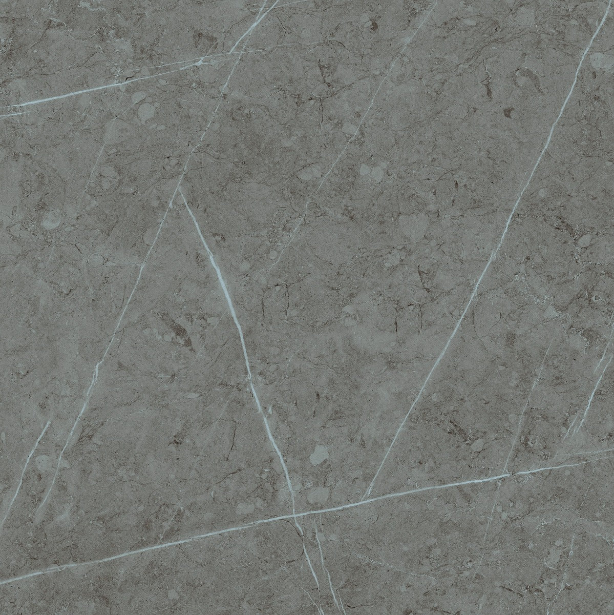 Klinker Altamura Gray Blank Marmor 60x60