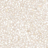 Klinker Amalfi Creme 30x30 swatch