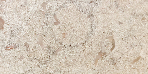 category-image-thumb